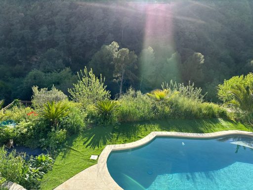 Piscine creusée avec verdure